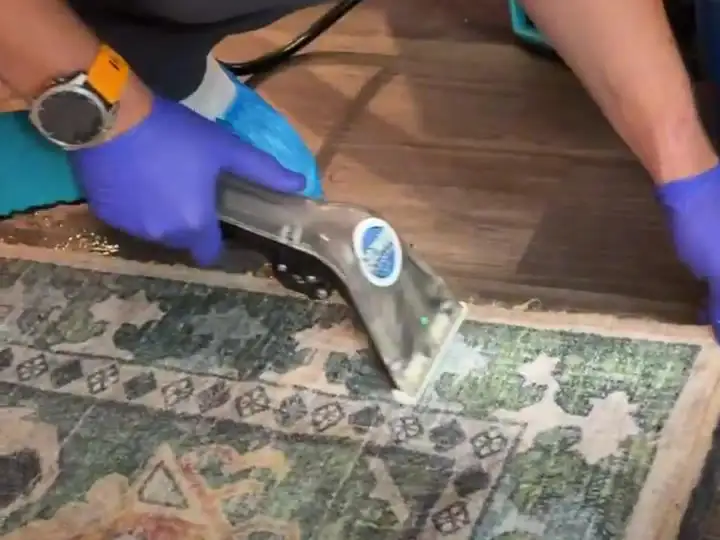 Gloved hands running a carpet extraction wand along the edge of a patterned area rug