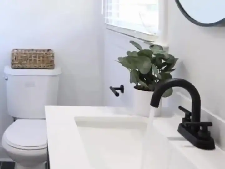 Clean white bathroom sink with a black faucet, toilet and plant after a deep cleaning visit